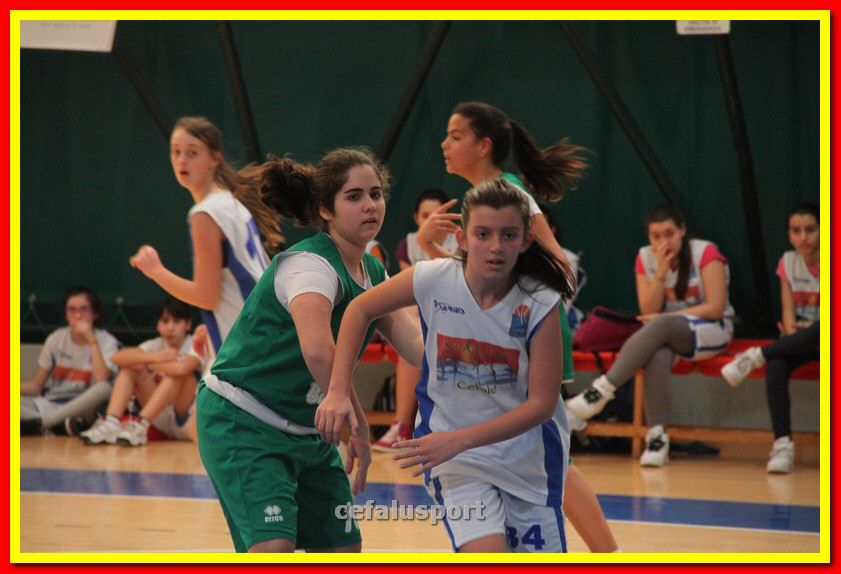 140301 GM_basket 136_tn.jpg